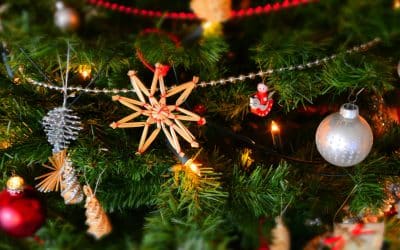 Christmas Closure 2025 – Out of hours for emergencies