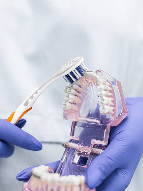 Dentist brushing denture mould with toothbrush